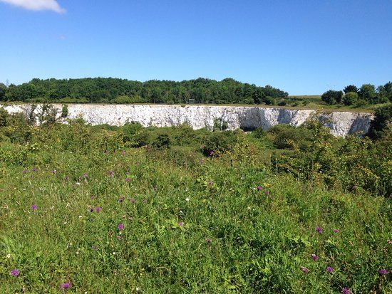 Monkton Nature Reserve